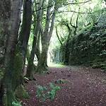 Hébergement de vacances Idyllic West Of Ireland Hideaway *