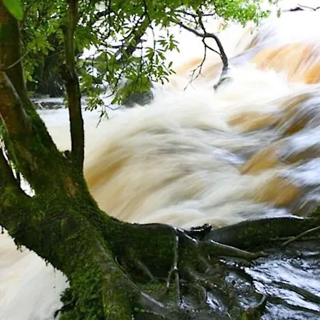 Idyllic West Of Ireland Hideaway 別荘 Dromahair