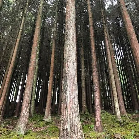 Idyllic West Of Ireland Hideaway Dromahair