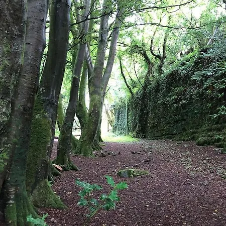 Hébergement de vacances Idyllic West Of Ireland Hideaway *