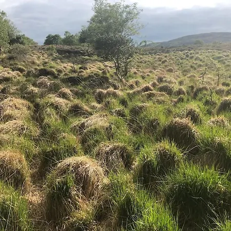 Idyllic West Of Ireland Hideaway Nyaraló *