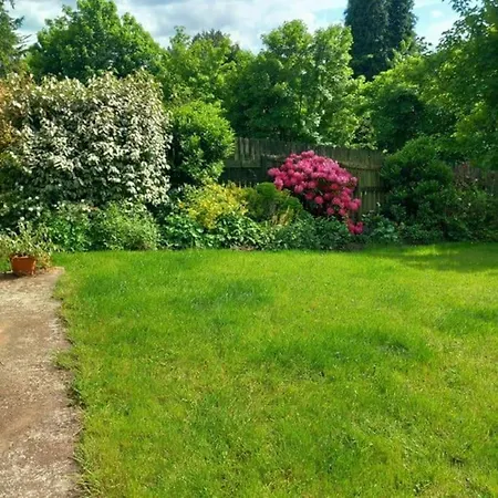 Idyllic West Of Ireland Hideaway Prázdninový dům *