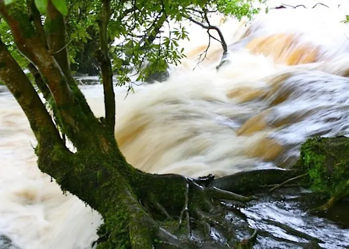 Idyllic West Of Ireland Hideaway 別荘 Dromahair