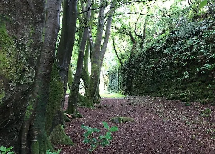 別荘 Idyllic West Of Ireland Hideaway *