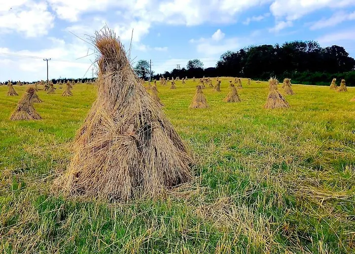 Idyllic West Of Ireland Hideaway 別荘 *