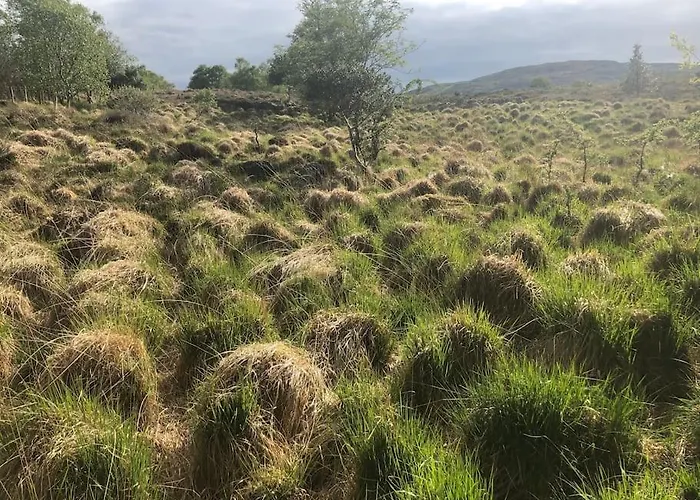 Idyllic West Of Ireland Hideaway 別荘 *