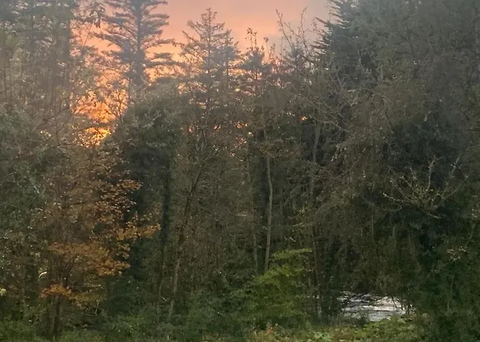 Idyllic West Of Ireland Hideaway 別荘 Dromahair