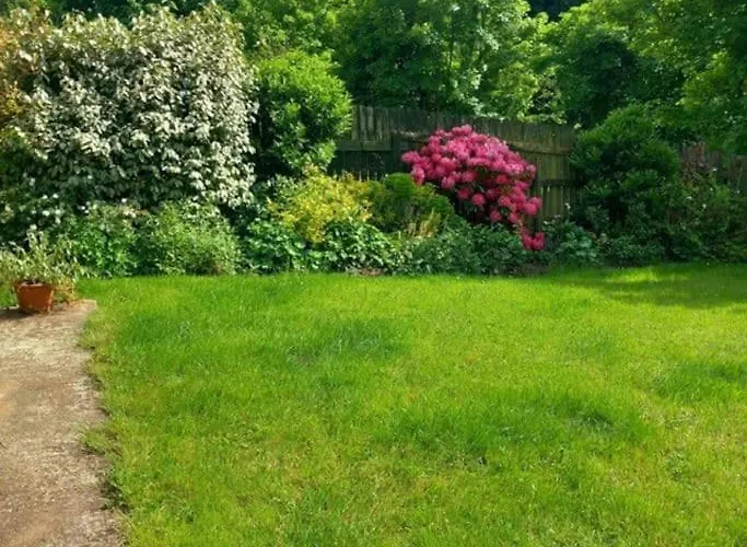 Idyllic West Of Ireland Hideaway 別荘 *