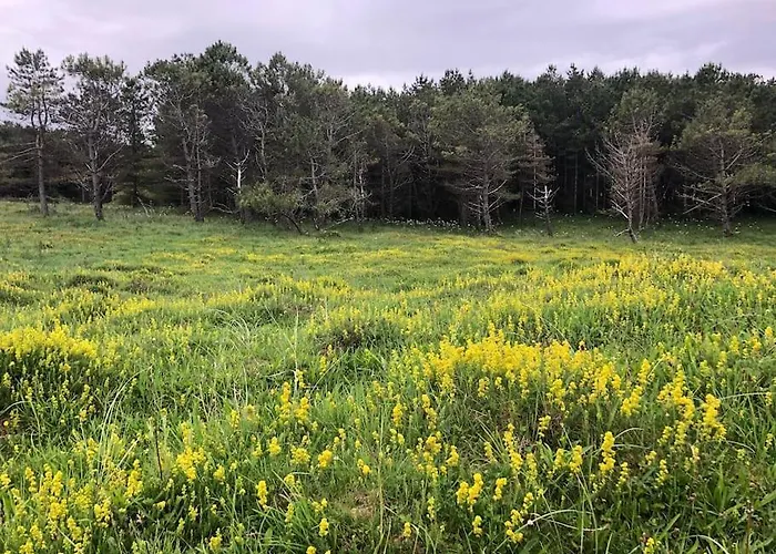 Idyllic West Of Ireland Hideaway 別荘 *